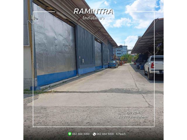 ให้เช่า โกดัง 250 ตร.ม. รามอินทรา เลียบด่วนรามอินทรา ใกล้รถไฟฟ้า ใกล้ทางด่วน ใกล้มอเตอร์เวย์ เหมาะเป็นคลังเก็บสินค้า / S