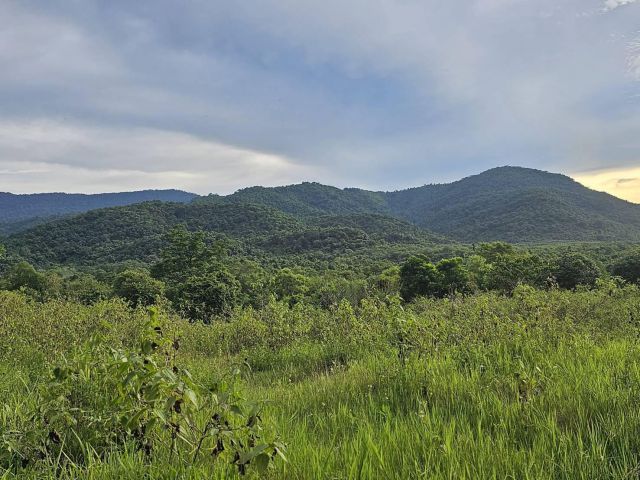 ขายที่ดินวิวเขาใหญ่ โป่งตาลอง ที่ดินเป็นเนินสูงสวย