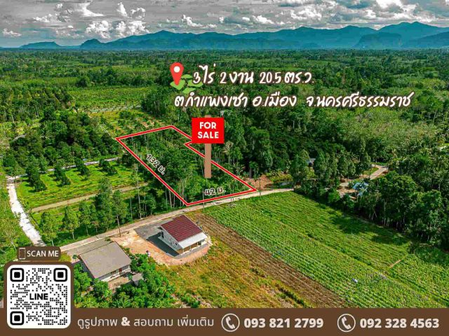 สวนมังคุด 3 ไร่ 2 งาน 20.5 ตร.วา