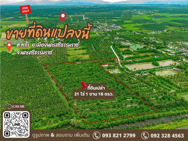 ขายที่ดินเปล่าแปลงใหญ่ โฉนดพร้อมโอน  ขนาด 21 ไร่ 1 งาน 16 ตร.วา  ราคาไร่ละ 180,000 บาท เท่านั้น️
