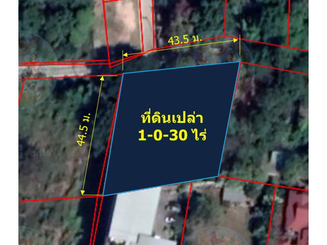 L309-ขายที่ดิน 1-0-30 ไร่ (หลัง มช. ต.สุเทพ อ.เมืองเชียงใหม่ จ.เชียงใหม่)