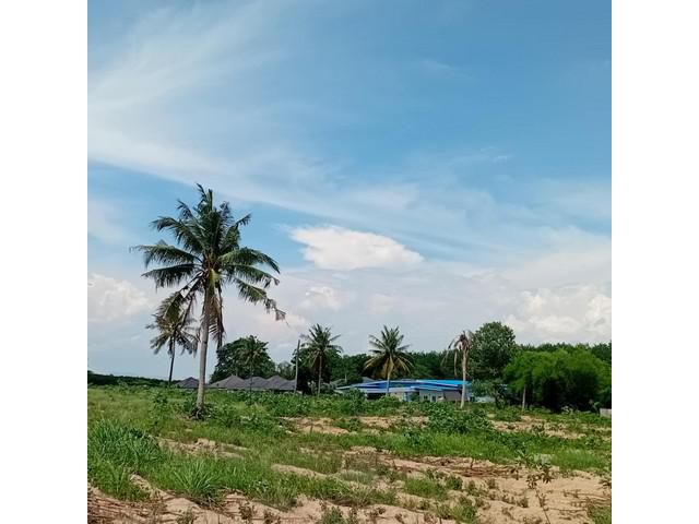 ขายที่ดินนิคมพัฒนาระยอง 6 ไร่