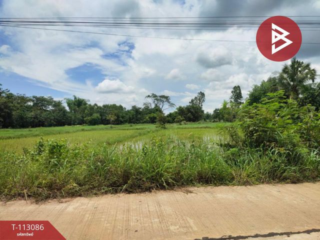 ขายที่ดิน เนื้อที่ 4 ไร่ กลางเมืองนาหว้า นครพนม ทำเลดี