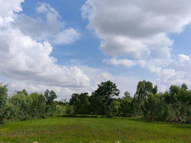 ที่ดินแปลงสวย ทำเลดี ราคามงคล