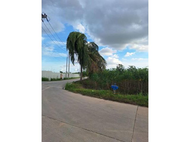 ขายที่ดินบ่อวิน ศรีราชา ชลบุรี