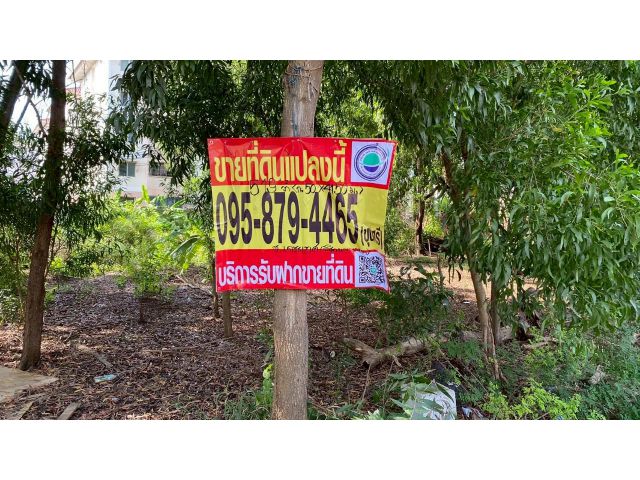 ขายที่ดินคูคต 519 ตารางวา ติดถนนคอนกรีตสาธารณะ ถมแล้ว ซอย เดชะเทศ ถนนลำลูกกา 11 จ.ปทุมธานี