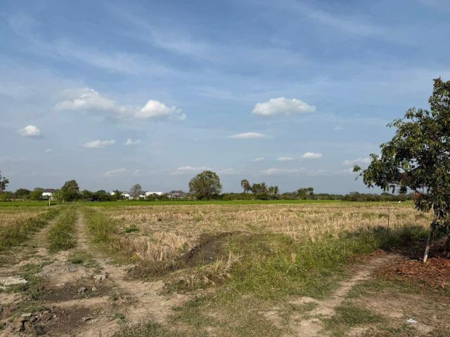 ขายที่นาบ้านแหวนหางดงวิวดอยใกล้เมืองพร้อมโอน