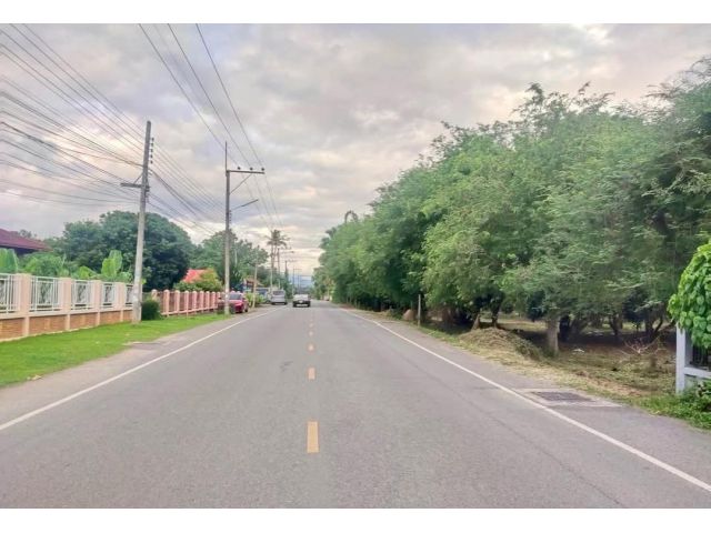 ขายที่ดินตำบลป่าไผ่สันทรายจัดสรรได้ติดถนนพร้อมโอน