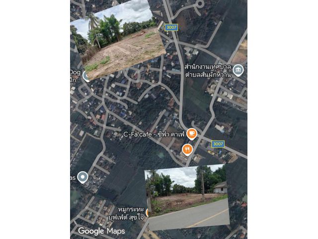 ขายที่ดินตำบลสันผักหวานหางดงใกล้ c-fa cafe พร้อมโอน