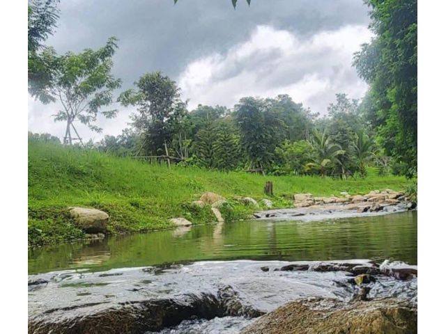 ขายที่ดินติดลำธารน้ำบ้านปงหางดงพัฒนาเรียบร้อยพร้อมโอน