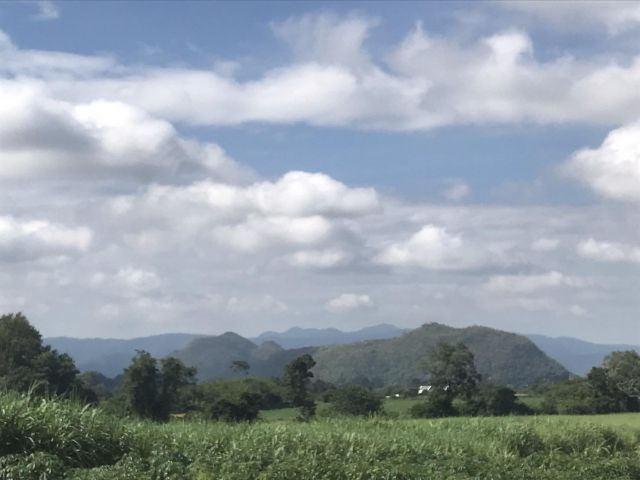 ขายที่ดิน 100 ไร่ วิวเทือกเขาใหญ่สวยงาม ติดทางสาธารณะ 600 เมตร ที่ดินโฉนด ไร่ละ 5.5 ล้านบาท (แบ่งขาย 7 ไร่ , 25 ไร่ )