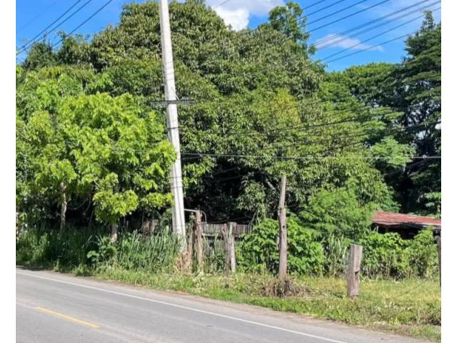 ขายที่ดินติดถนนลาดยางตำบลหางดงใกล้ตลาดสดพร้อมโอน