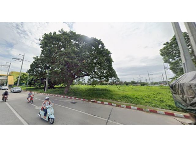 ขาย- เช่า ที่ดินแปลงใหญ่ใกล้เมญ่า กลางใจเมืองโฉนด