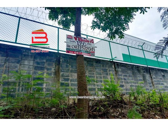 ที่ดินเปล่า คูบางหลวง-ลาดหลุมแก้ว เนื้อที่ 3-1-56 ไร่ ติดบจก.ชาญนครวิศวกรรม อำเภอลาดหลุมแก้ว จังหวัดปทุมธานี