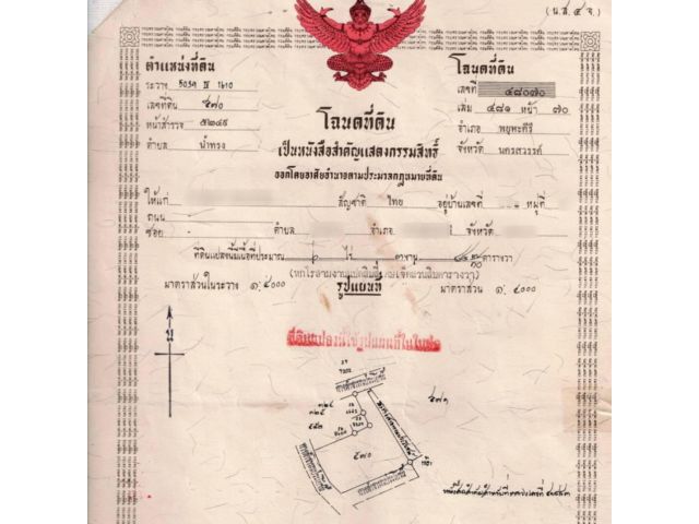 ขายที่ดิน ถูกมาก 6 ไร่ 3 งาน 90 ตรว ยกแปลง 369,000