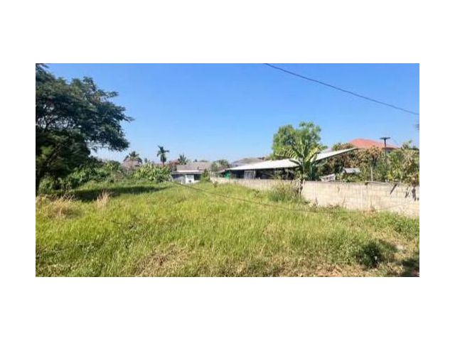 ขายที่ดินตำบลสันกลางสันกำแพงติดถนนโฉนดพร้อมโอน