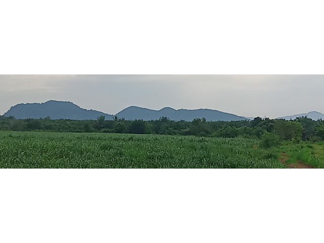 ขายที่ดินโฉนด 114 ไร่ หน้าที่ดินติดถนนลาดยางทางหลวง  ท้ายแปลงติดลําห้วย วิวเขารอบทิศ