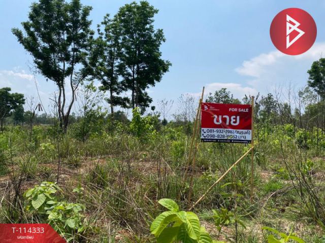 ขายที่ดิน เนื้อที่ 4 ไร่ 3 งาน 84 ตร.วา พนมสารคาม ฉะเชิงเทรา