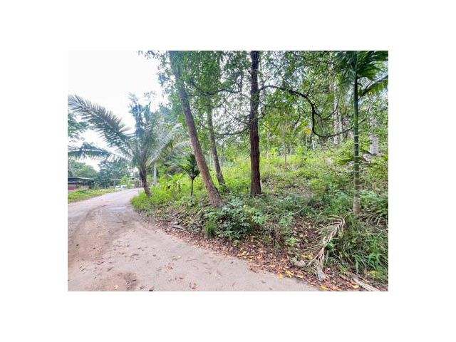 Investment Opportunity 5392 sqm Land Near Lipa Noi Beach Koh Samu