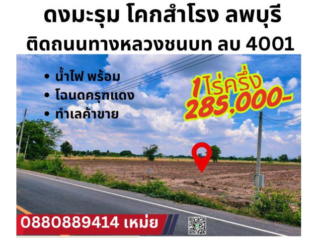 ที่ดิน ดงมะรุม โคกสำโรง จ ลพบุรีติดถนนสาดยาง