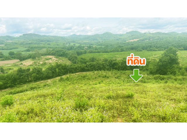 โอกาสทองของนักลงทุน... ที่ดินวิวเขา 14 ไร่ 3 งาน อ.ท่าลี่ จ.เลย โฉนดพร้อมโอน | บรรยากาศสุดชิล | ราคาสบายใจ