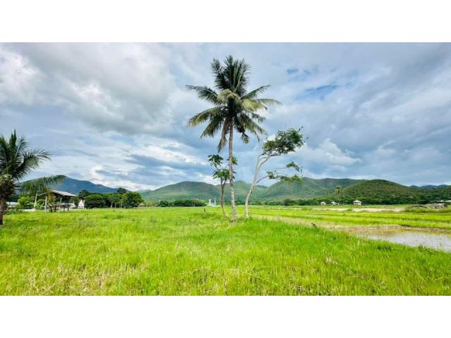 ขายที่ดินวิวดอยวิวท้องนาออนใต้สันกำแพงโฉนดพร้อมโอน