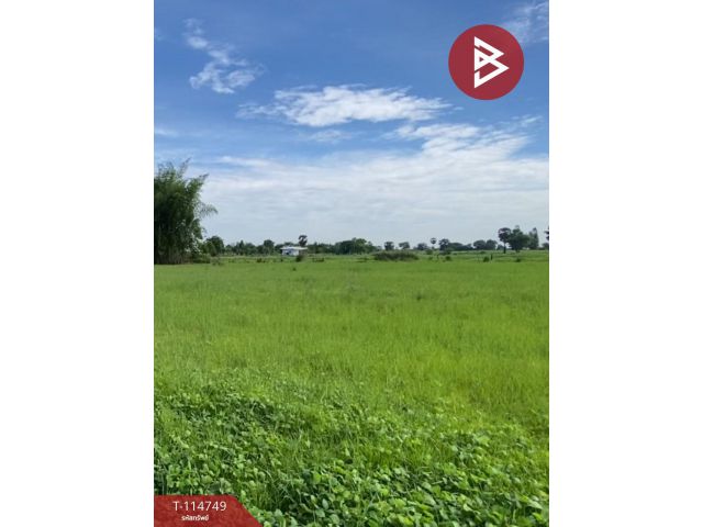 ขายที่ดิน เนื้อที่ 5 ไร่ 1 งาน 64 ตร.วา บ้านฝาง ขอนแก่น
