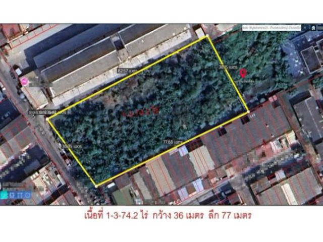 ขายต่ำกว่าราคาตลาด ถูกมากที่ดิน ถนนพิบูลย์สงคราม เนื้อที่ 774.2 ตารางวา ขายยกแปลง 31 ล้าน เมือง นนทบุรี
