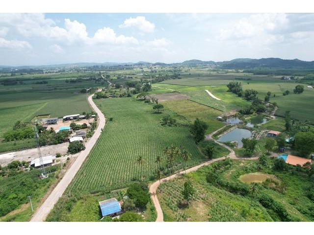 ขายที่ดินวังไทรเขาใหญ่ 2 ไร่ หน้าติดถนนลาดยาง หลังติดคลอง ติดโครงการ My Ozone บรรยากาศดีวิวเขาล้อมรอบ อ.ปากช่อง