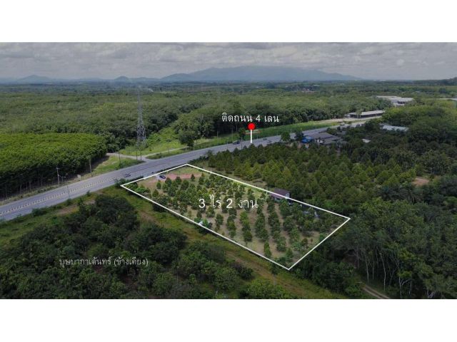 ขายที่ดินติดถนน จังหวัดจันทบุรี สวนทุเรียน เนื้อที่ 3-2-0 ไร่