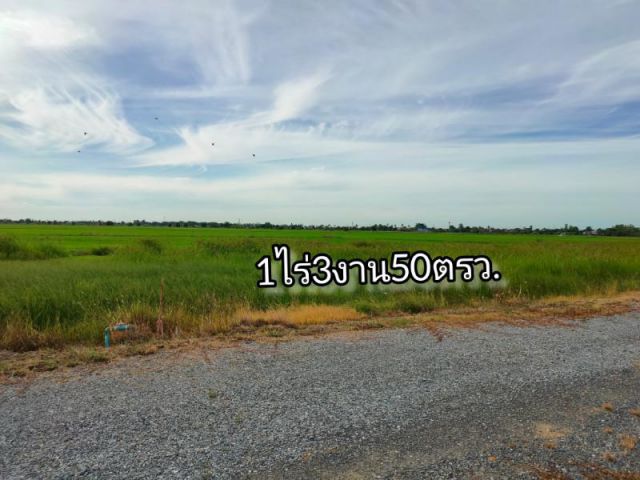 ขายที่ดินอำเภอเมืองสุพรรณบุรี 1ไร่3งาน50ตรว.