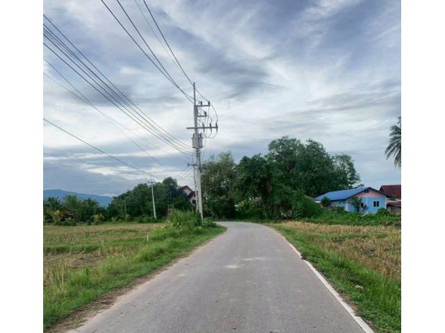 ขายที่ดินตำบลน้ำแพร่หางดงติดถนนวิวสวยโฉนดพร้อมโอน
