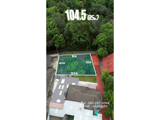 ขายที่ดินหางดง หนองควาย #ใกล้พืชสวนโลก เนื้อที่ 104.5 ตร.ว หน้ากว้างติดถนน