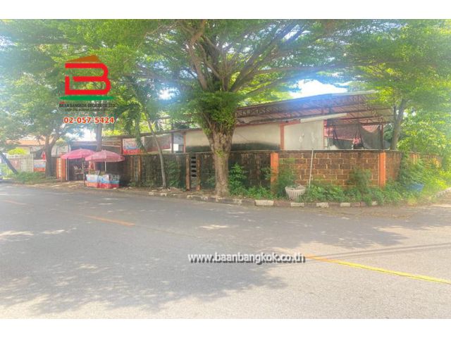 ขาย/เช่า ที่ดินพร้อมบ้าน เนื้อที่ 199 ตรว. ซอยเกษตร 9 (แจ้งวัฒนะ 14) แขวงทุ่งสองห้อง(สีกัน) เขตบางเขน กรุงเทพมหานคร