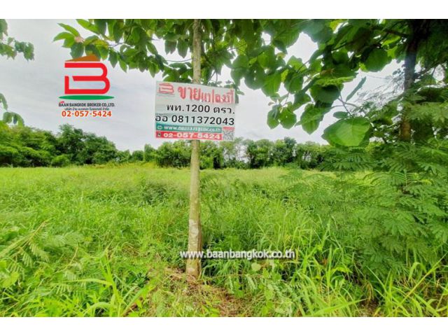 ที่ดินเปล่า ระแหง-ลาดหลุมแก้ว เนื้อที่ 3 ไร่ ติดบจก.ชาญนครวิศวกรรม, ตรงข้ามปั้ม ปตท. ม.12 อ.ลาดหลุมแก้ว จ.ปทุมธานี