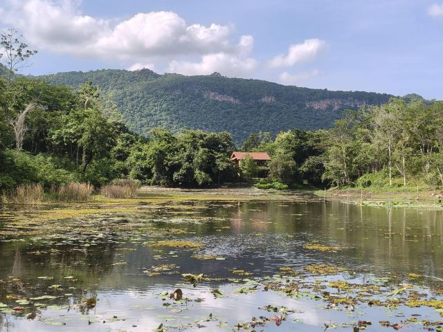 ขายที่ดินริมน้ำเขาใหญ่ 1ไร่ ที่ดินติดเวิ้งน้ำ วิวเขาสวยมาก ในโครงการมูนแดนซ์ Moondance ติดถนนธนะรัชต์ ใกล้อุทยานแห่งชาติ