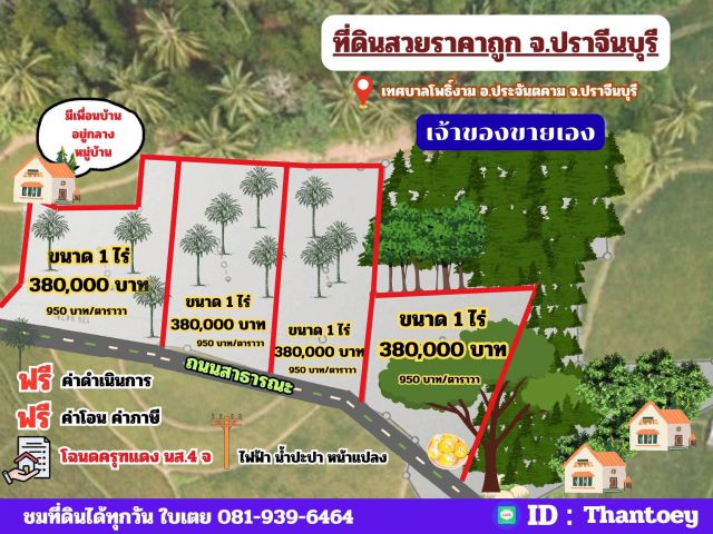 ขายที่ดินเขตเทศบาลตำบลโพธิ์งาม ตร.ว.ละ 950.-