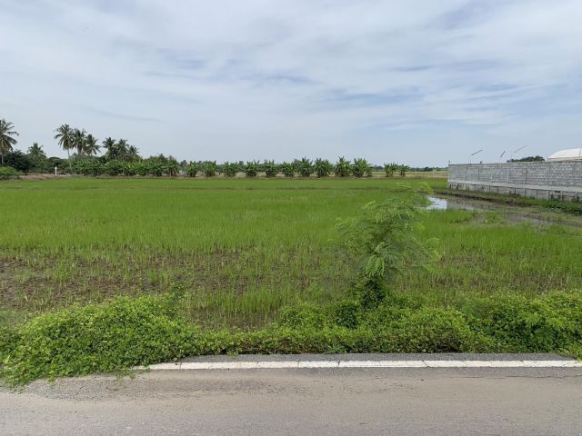 ขายที่ดินแปลงสวยราคาถูกติดคอนกรีต ถนนศาลายามหิดล วัดนราภิรมย์ บ้านคลองแขก