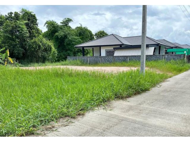 ขายที่ดินตำบลหนองหารตรงข้ามปั้มปตท หนองหารสันทรายห่างถนนหลัก 100เมตร