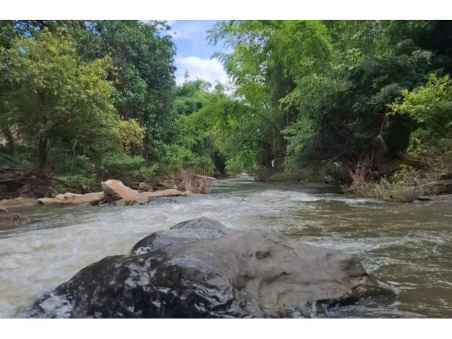 ขายที่ดินบ้านหลวงจอมทองติดน้ำตกแม่กลางห่างถนนหลัก 400เมตร