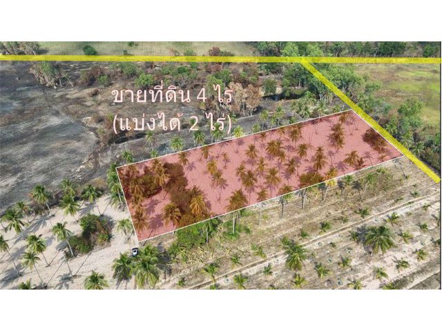 ที่ดินเปล่า ศรีราชา ใกล้มอเตอร์เวย์ (ราคานี้ หายาก ถูกที่สุดในระแวก)