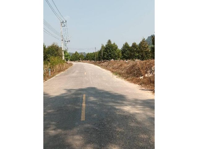 ขายที่ดินระยอง พร้อมสวนยาง สร้างรายได้