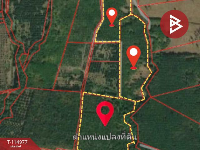 ขายที่ดินพร้อมสิ่งปลูกสร้าง เนื้อที่ 69 ไร่ 2 งาน 87 ตารางวา อ.สอยดาว จันทบุรี