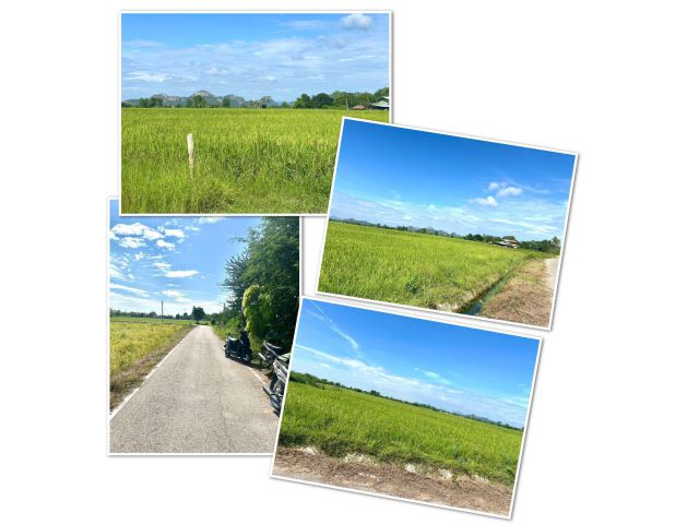 ขายที่ดินโฉนด 1ไร่ 550,000 ทำเลดี วิวเขา ติดลาดยาง น้ำไฟถึง ใกล้ถนนเพชรเกษม 500 ม. ปากท่อ ราชบุรี