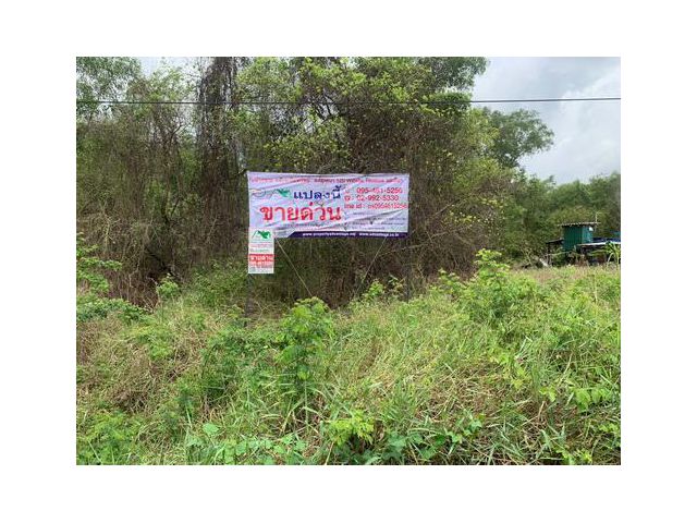 ที่ดินเปล่า 100 ตร.ว.พหลโยธิน87 ซอย6 อ.ธัญบุรี จ.ปทุมธานี