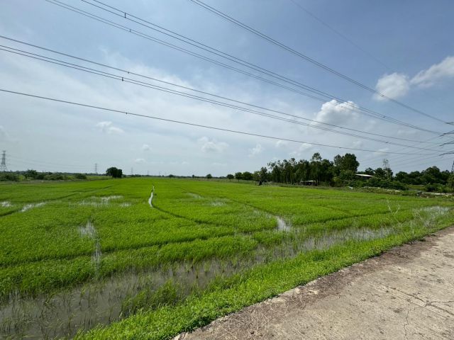 ขายที่ดิน เนื้อที่ 100 ไร่เศษ อ.วังน้อย จังหวัดพระนครศรีอยุธยา