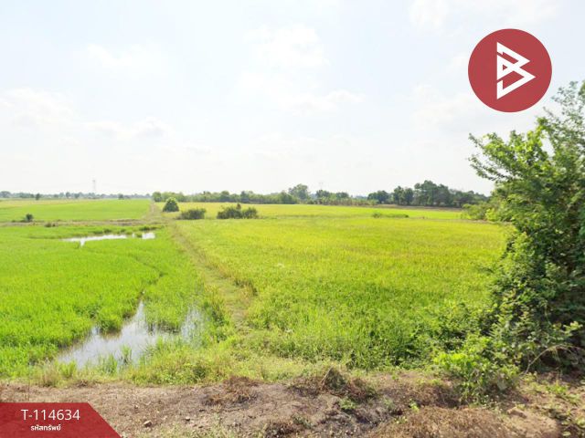ขายที่ดิน เนื้อที่ 1 ไร่ 2 งาน หนองเสือ ปทุมธานี