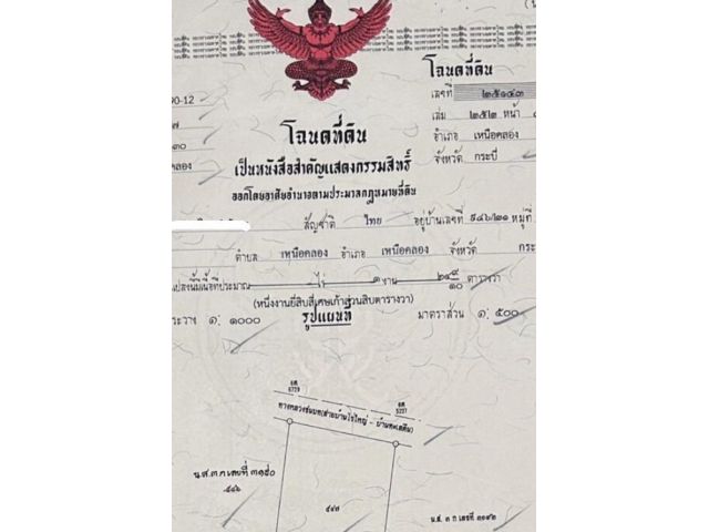 ขายที่ดินโฉนด 6 คูหา