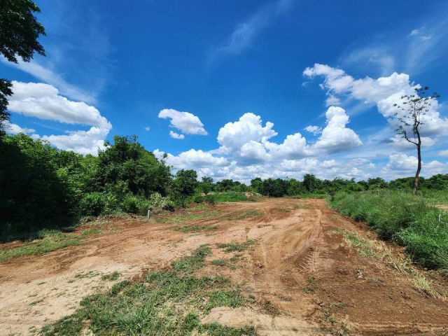 ขายที่ดิน อำเภอเมืองนครสวรรค์ ตำบลหนองปลิง