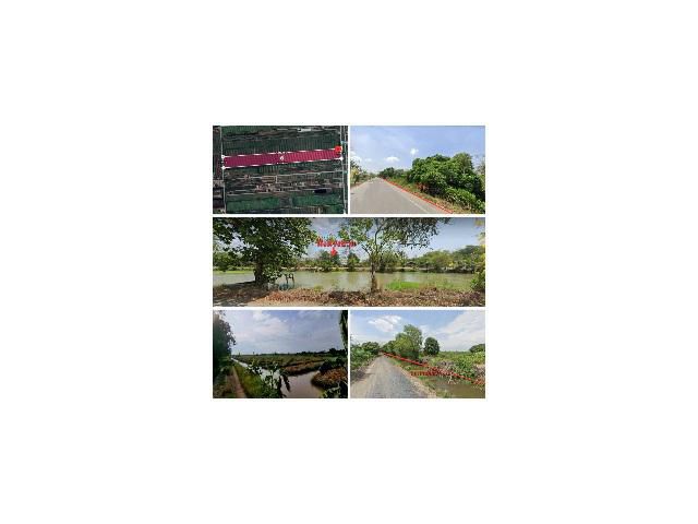 ที่ดิน 90 ไร่ ต.บึงกาสาม อ.หนองเสือ จ.ปทุมธานี